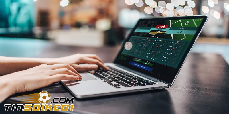 Thầu bóng đá thông qua trang web